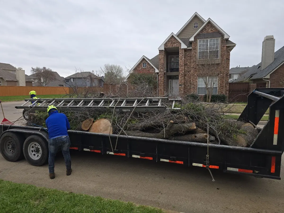 Expert Tree Fertilization with proper safety equipment in Lake Hiawatha
